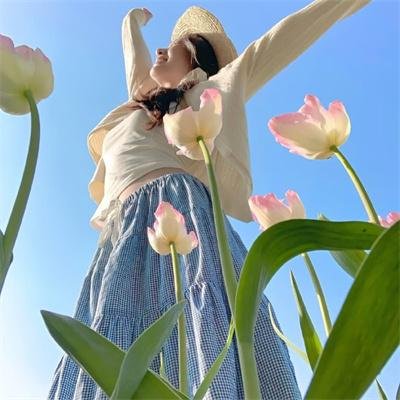 贪婪四重奏